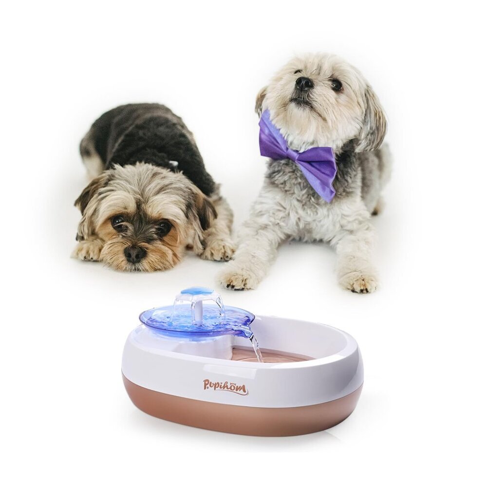 Automatic 2.4L Pet Fountain Water Dispenser No Spill Bowl w/ 3 Washable Filters